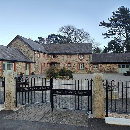 The View At Moneylands Villa Arklow Exterior foto